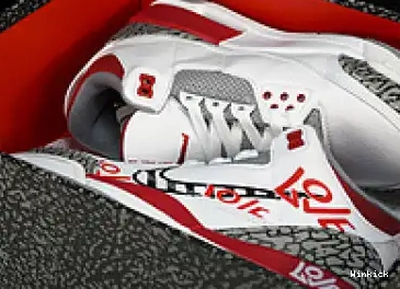 AIR JORDAN 3 DN3707-161 0606